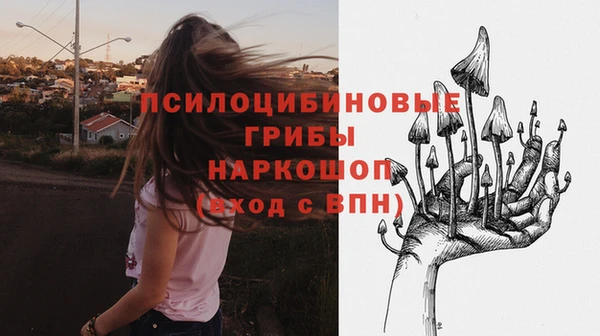 ГАЛЛЮЦИНОГЕННЫЕ ГРИБЫ Волоколамск