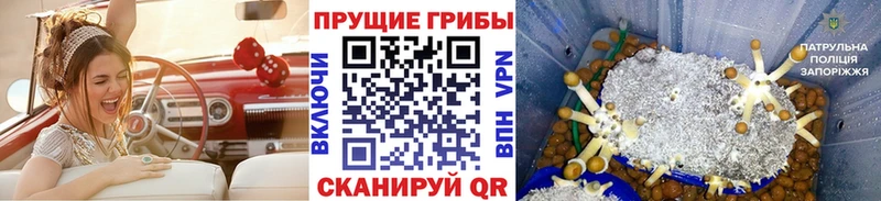 Галлюциногенные грибы мицелий  Карабаш 